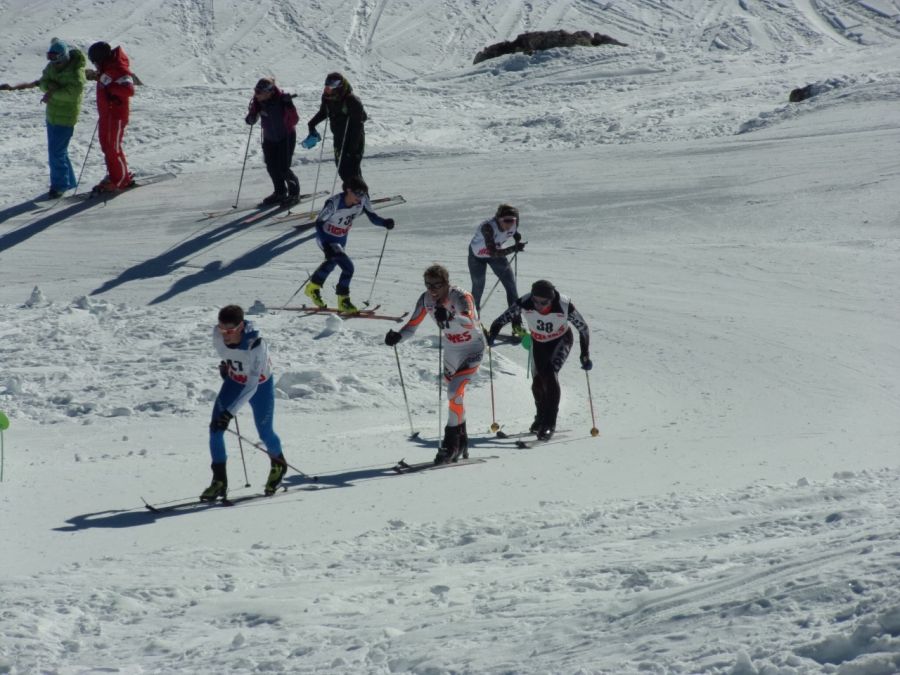 ski